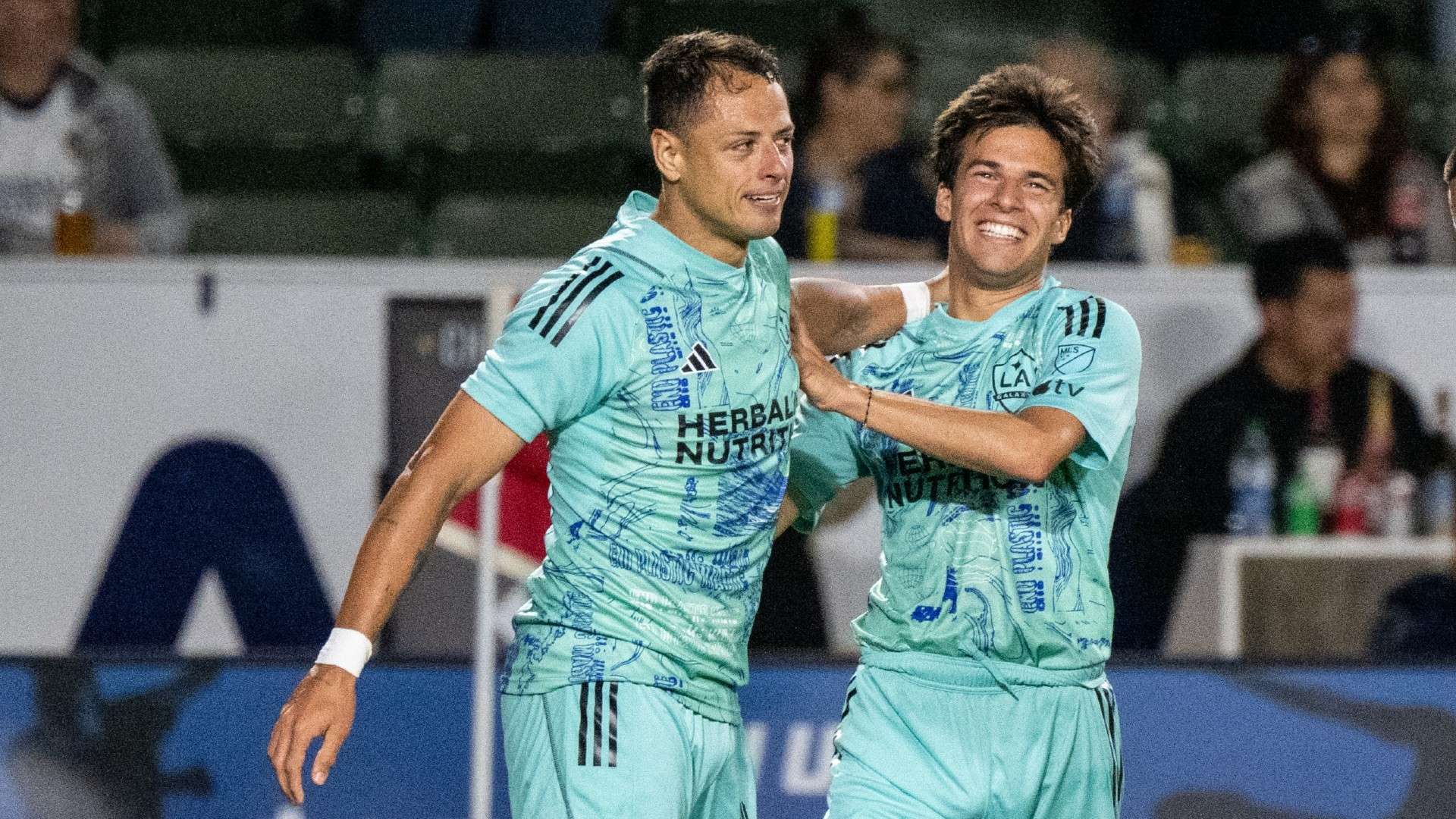 球队和球迷 球队和球迷